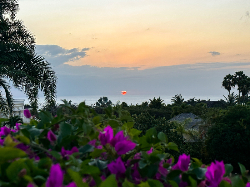 3 bed Gated Community, Ocean View For Sale in St. James, - thumb 11